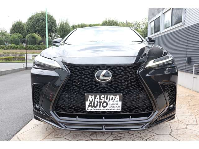 TOYOTA LEXUS NX450H+ AWD 2023 Image 31