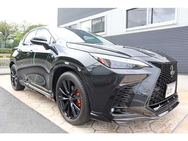 TOYOTA LEXUS NX450H+ AWD 2023 Image 31