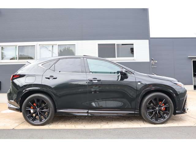 TOYOTA LEXUS NX450H+ AWD 2023 Image 31