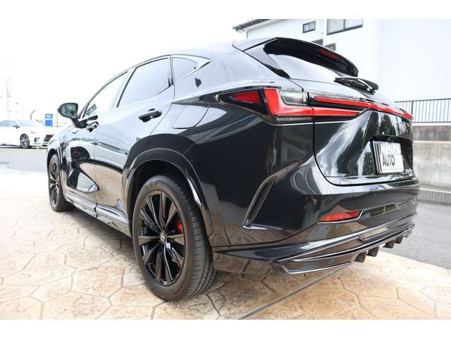 TOYOTA LEXUS NX450H+ AWD 2023 Image 31