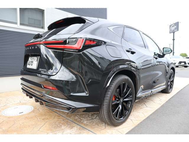 TOYOTA LEXUS NX450H+ AWD 2023 Image 31