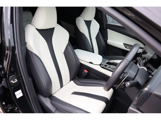 TOYOTA LEXUS NX450H+ AWD 2023 Image 31