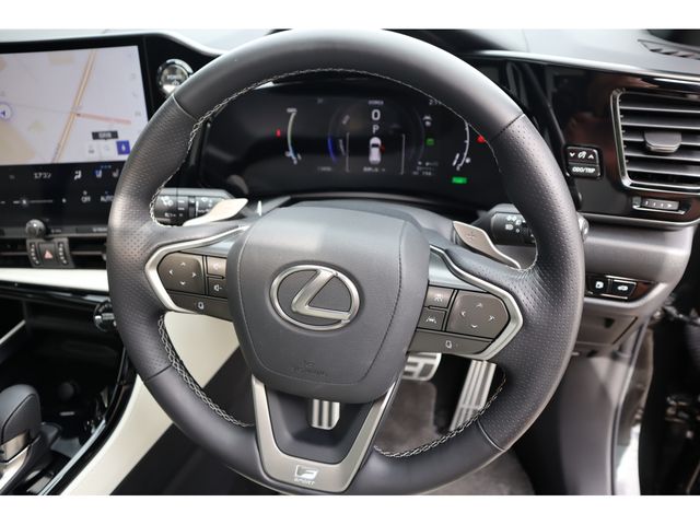 TOYOTA LEXUS NX450H+ AWD 2023 Image 31