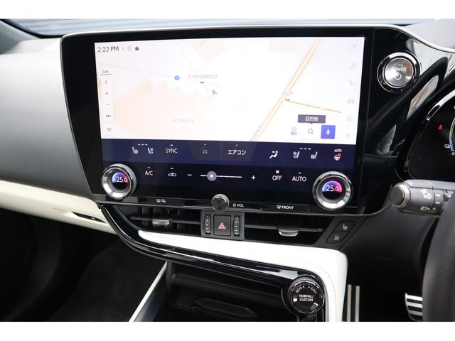TOYOTA LEXUS NX450H+ AWD 2023 Image 31