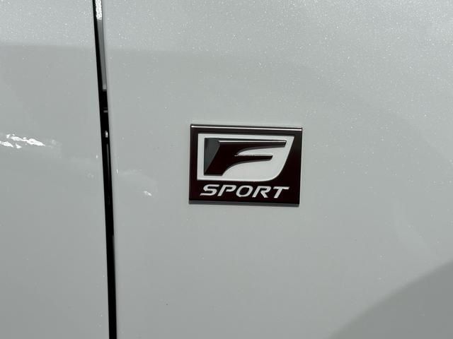 TOYOTA LEXUS NX350H AWD 2024 Image 31