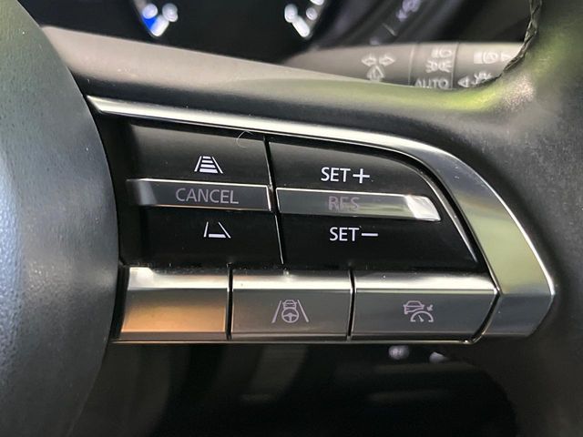 MAZDA MX-30 2020 Image 31