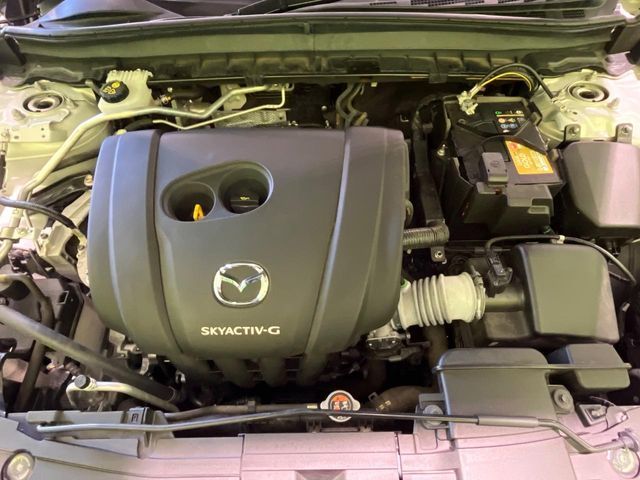 MAZDA MX-30 2020 Image 31