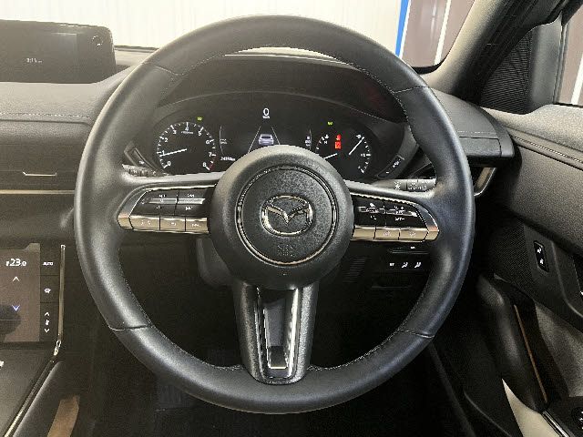 MAZDA MX-30 2021 Image 31