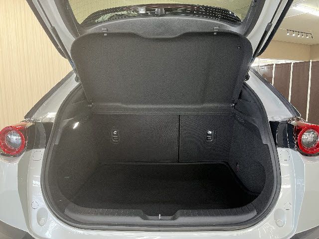 MAZDA MX-30 2021 Image 31