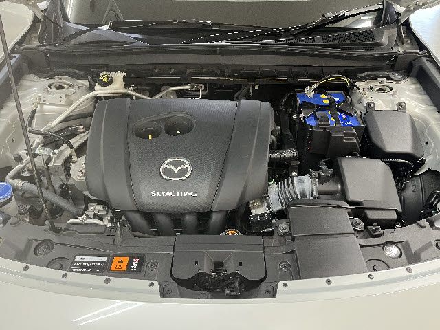 MAZDA MX-30 2021 Image 31