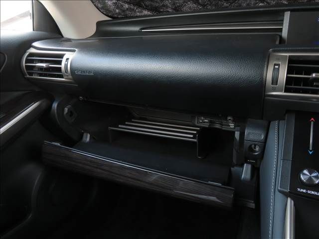 TOYOTA LEXUS IS300H 2013 Image 31