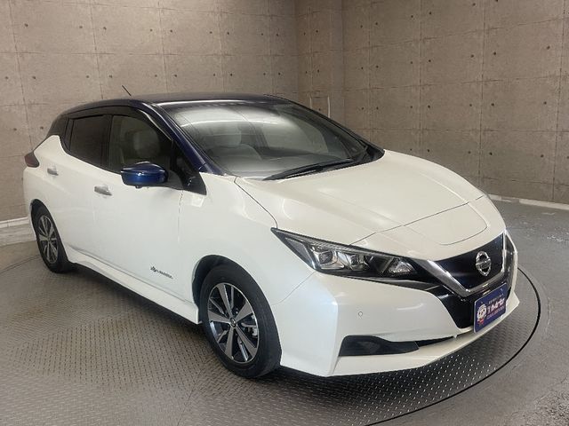 NISSAN LEAF 2019 Image 31