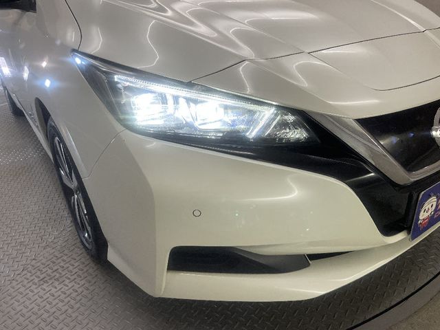 NISSAN LEAF 2019 Image 31