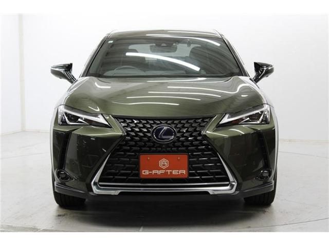TOYOTA LEXUS UX250H 2019 Image 31