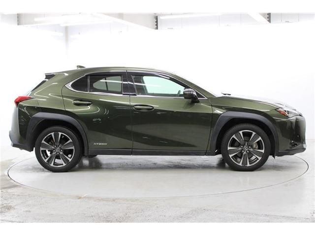 TOYOTA LEXUS UX250H 2019 Image 31