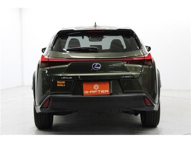 TOYOTA LEXUS UX250H 2019 Image 31