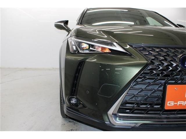TOYOTA LEXUS UX250H 2019 Image 31