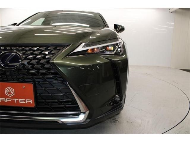TOYOTA LEXUS UX250H 2019 Image 31