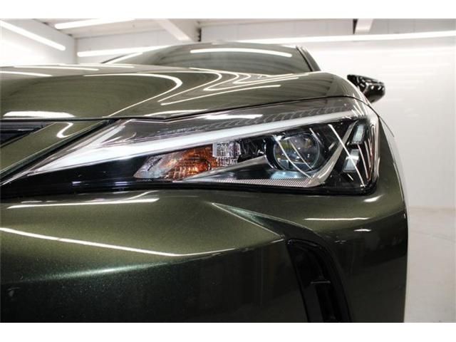 TOYOTA LEXUS UX250H 2019 Image 31