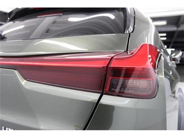 TOYOTA LEXUS UX250H 2019 Image 31