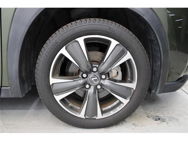 TOYOTA LEXUS UX250H 2019 Image 31