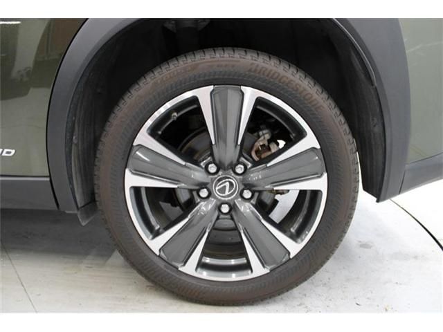 TOYOTA LEXUS UX250H 2019 Image 31