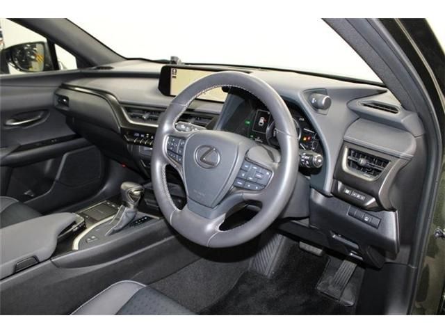 TOYOTA LEXUS UX250H 2019 Image 31