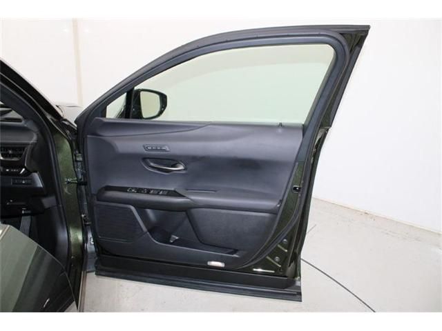 TOYOTA LEXUS UX250H 2019 Image 31