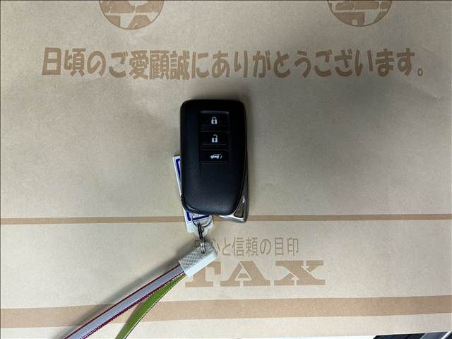 TOYOTA LEXUS LX570 AWD 2019 Image 31