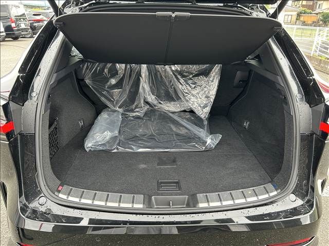 TOYOTA LEXUS NX350H 2024 Image 31