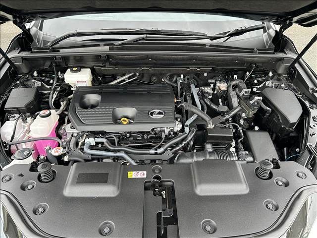 TOYOTA LEXUS NX350H 2024 Image 31