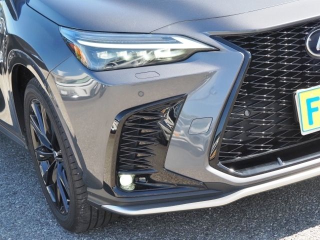 TOYOTA LEXUS NX450H+ AWD 2023 Image 31