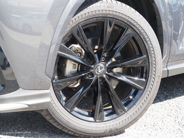 TOYOTA LEXUS NX450H+ AWD 2023 Image 31