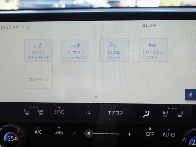 TOYOTA LEXUS NX450H+ AWD 2023 Image 31