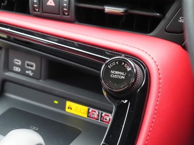 TOYOTA LEXUS NX450H+ AWD 2022 Image 31