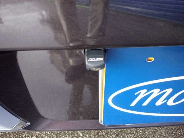 SUZUKI ALTO LAPIN CHOCOLAT 2014 Image 31