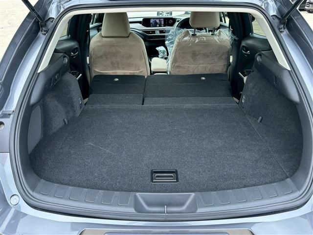 TOYOTA LEXUS UX200 2018 Image 31