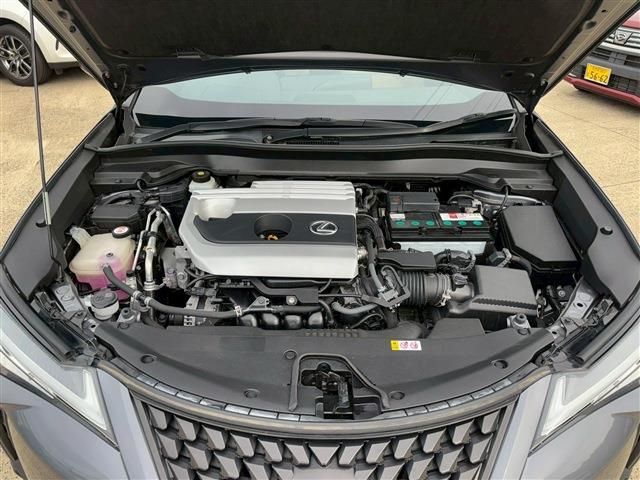 TOYOTA LEXUS UX200 2018 Image 31