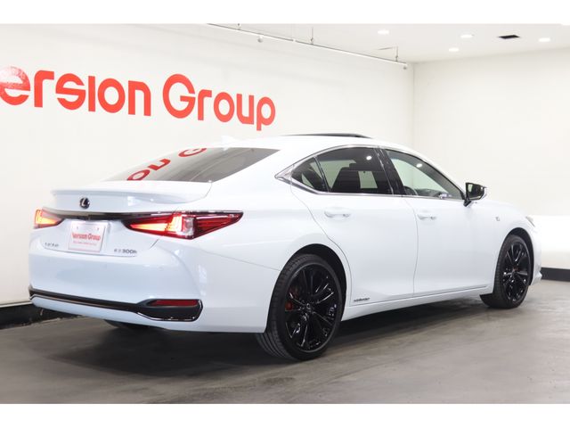 TOYOTA LEXUS ES300H 2021 Image 31