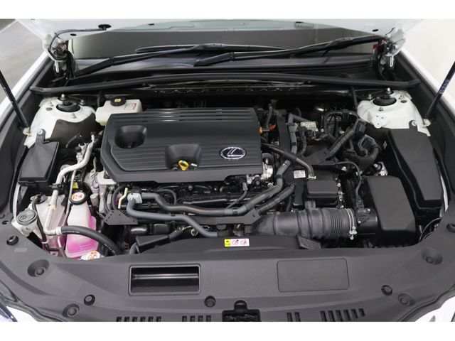 TOYOTA LEXUS ES300H 2021 Image 31