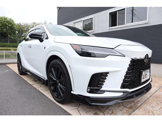 TOYOTA LEXUS RX500H 2023 Image 31