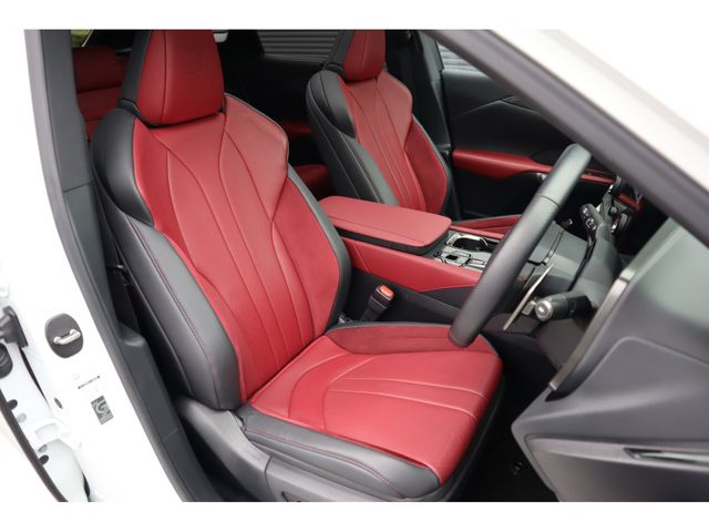 TOYOTA LEXUS RX500H 2023 Image 31