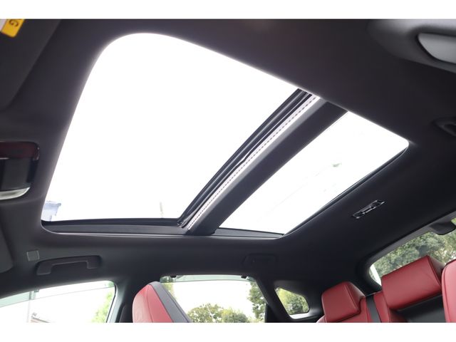 TOYOTA LEXUS RX500H 2023 Image 31