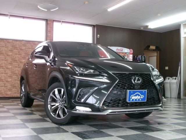 TOYOTA LEXUS NX300 AWD 2019 Image 31