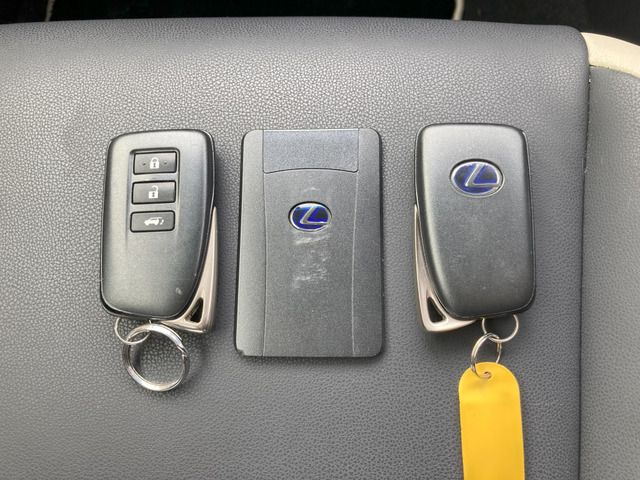 TOYOTA LEXUS NX300H 2018 Image 31