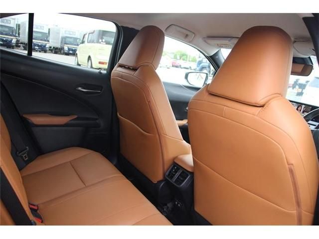 TOYOTA LEXUS UX250H 2018 Image 31