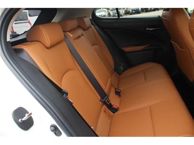 TOYOTA LEXUS UX250H 2018 Image 31