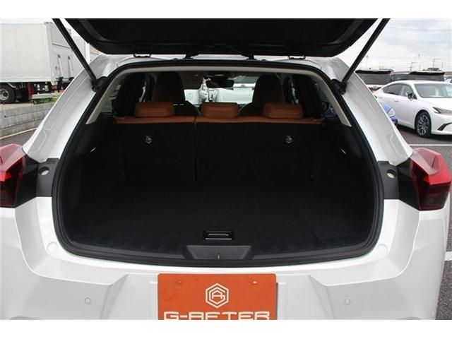 TOYOTA LEXUS UX250H 2018 Image 31