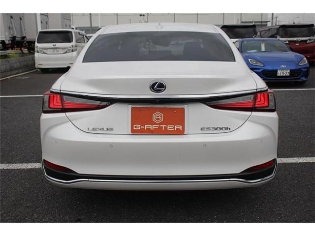 TOYOTA LEXUS ES300H 2019 Image 31