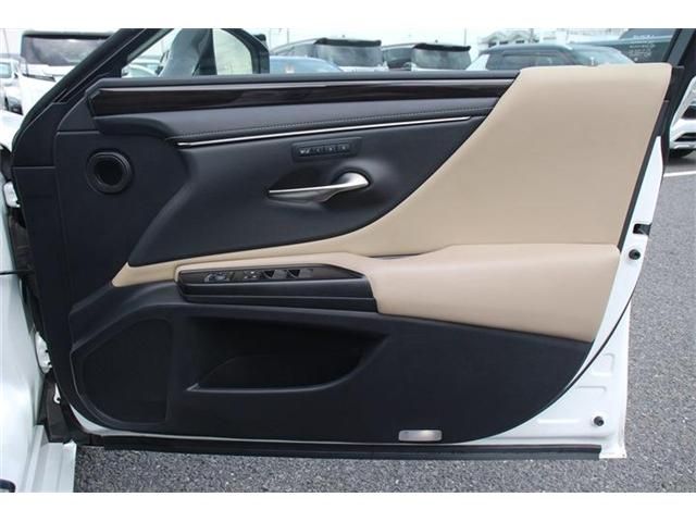 TOYOTA LEXUS ES300H 2019 Image 31